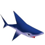 Shark poly